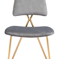 Chloe Dining Chair (Set of 2) Gray &amp; Gold