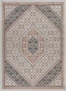 8’ x 10’ Gray and Blush Traditional Area Rug