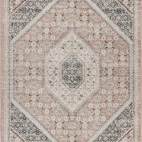 8’ x 10’ Gray and Soft Pink Traditional Area Rug