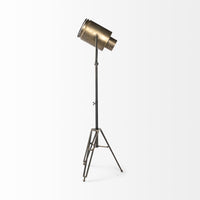 Gold Movie Set Floor Lamp