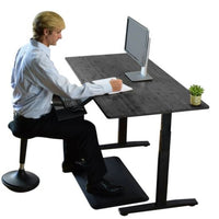 Premier Black Dual Motor Electric Office Adjustable Standing Desk