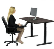 Premier 52" Black Dual Motor Electric Office Adjustable Standing Desk