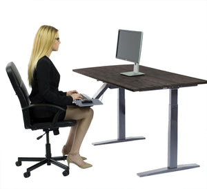 Premier 45" Gray Dual Motor Electric Office Adjustable Standing Desk