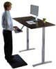 Premier 45" Gray Dual Motor Electric Office Adjustable Standing Desk