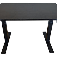 Black on Black Bamboo Dual Motor Electric Office Adjustable Computer Desk