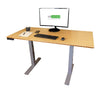 Gray and Natural Bamboo 52" Dual Motor Electric Office Adjustable Computer Desk