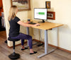 Gray and Natural Bamboo 52" Dual Motor Electric Office Adjustable Computer Desk