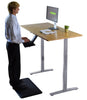 Gray and Natural Bamboo 45" Dual Motor Electric Office Adjustable Computer Desk