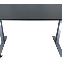 Gray and Black 45" Bamboo Dual Motor Electric Office Adjustable Computer Desk