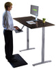 Gray and Black 45" Bamboo Dual Motor Electric Office Adjustable Computer Desk