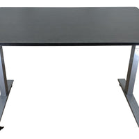 Gray and Black 52" Bamboo Dual Motor Electric Office Adjustable Computer Desk