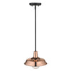 Burry 1-Light Copper Convertible Pendant