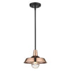 Burry 1-Light Copper Convertible Pendant