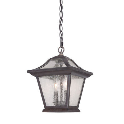 Aiken 2-Light Black Coral Hanging Light