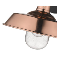 Burry 1-Light Copper Wall Light