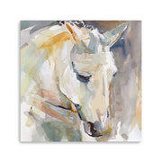 40" x 40" Abstract Watercolor Horse Canvas Wall Art