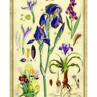 The Iris Arrangement Tapestry Wall Décor