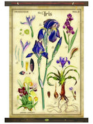 The Iris Arrangement Tapestry Wall Décor