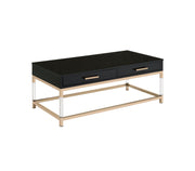44" Gold And Black High Gloss Manufactured Wood And Metal Rectangular Coffee Table With Two Drawers