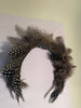 Pheasant Spotted Feathers Handmade Headband