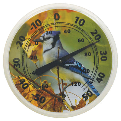 12-In. Outdoor Dial Thermometer (Blue Jay)