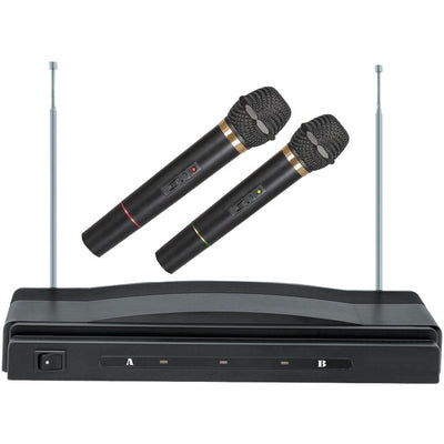 Professional Dual Wireless Microphone System