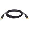 A-Male to B-Male USB 2.0 Cable (6ft)