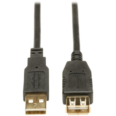 Hi-Speed A-Male to A-Female USB 2.0 Extension Cable (10ft)
